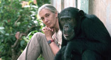 简-黑猩猩信贷x119.jpg——迈克尔- neugebauer - 219